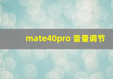 mate40pro 音量调节